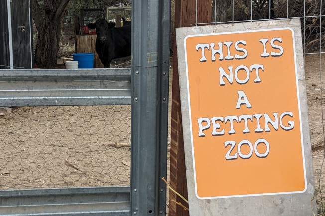 non-zoo